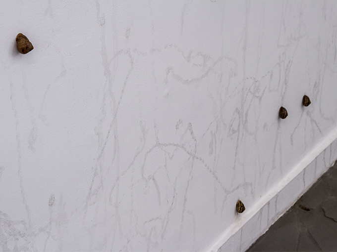 1 Izabela eska Zakret zawiych inii juz zrealizowanego planu sytuacja rysunkowa ze slimakami 500 x 500 cm Galeria Sztuki im Jana Tarasina w Kaliszu 2018