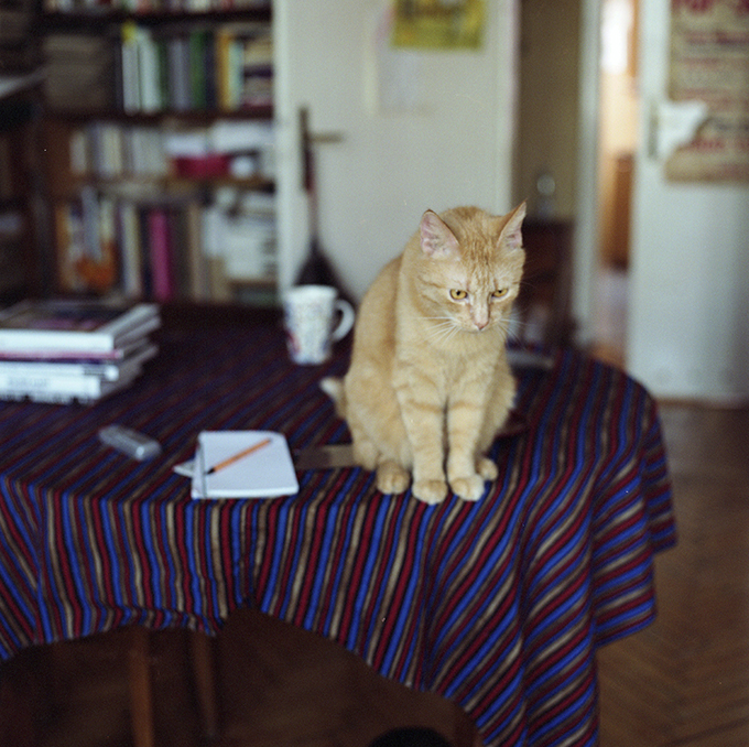 1 magorzata halber reading room saturczak