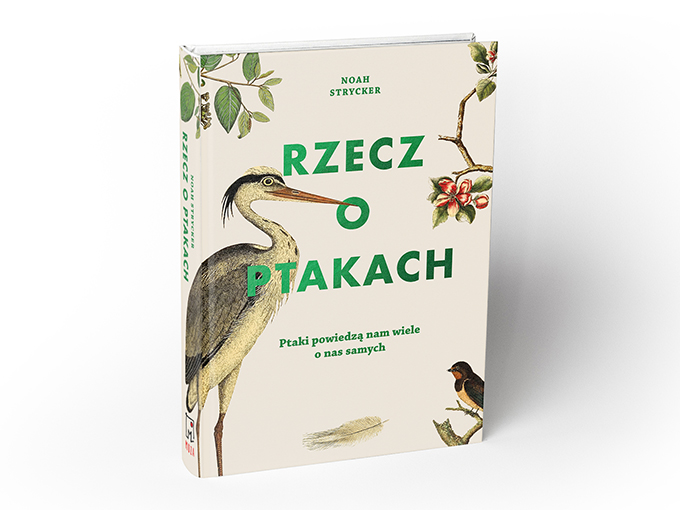 1 rzeczy o ptakach