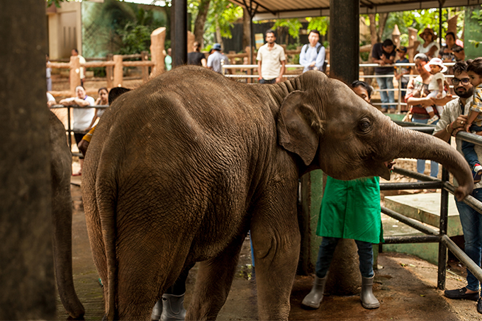 1 sri lanka afryka trip travel podroz holidays.jpg