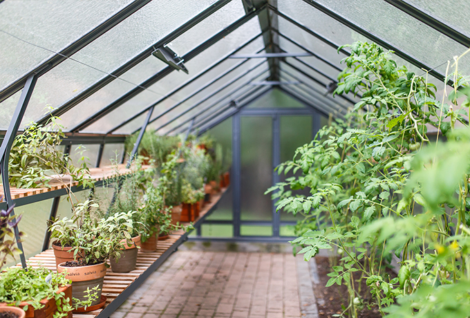 1 dom dziecka mokosh projekt Szklarnia w Odporyszowie Fot Archwium SIEMACHA