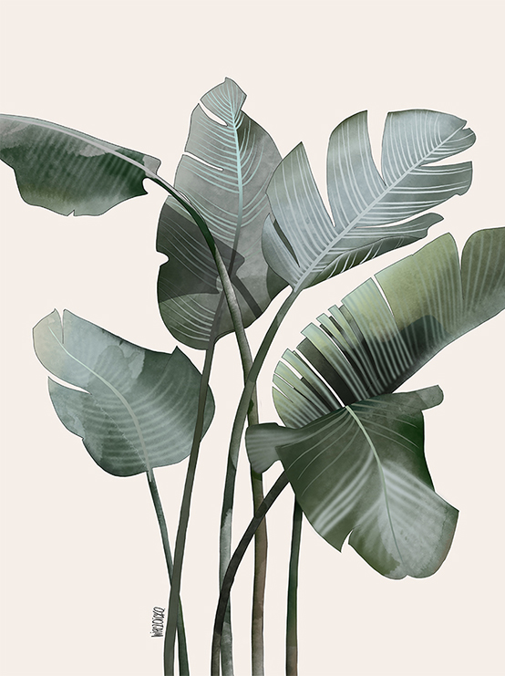 1 agata wierzbicka tamka 43