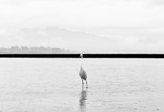 3 marcin ryczek forografia photography black and white bw sztuka