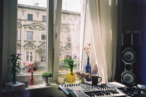 zdj 20
